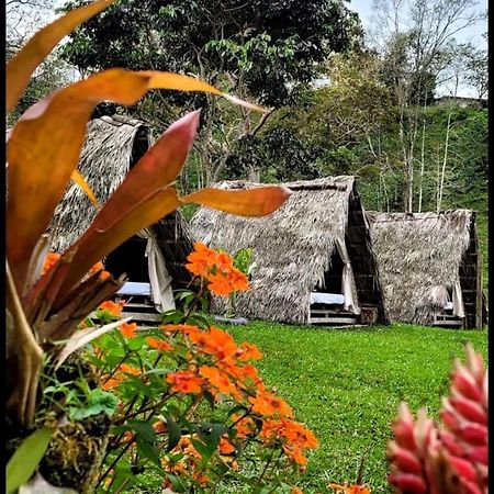 Bed and Breakfast Rancho Porvenir Mocoa Exteriér fotografie