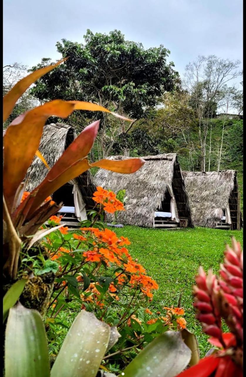 Bed and Breakfast Rancho Porvenir Mocoa Exteriér fotografie